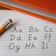 Primary School Curriculum