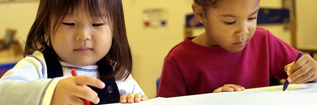 Standarized Test - Pre-school - 1 wide
